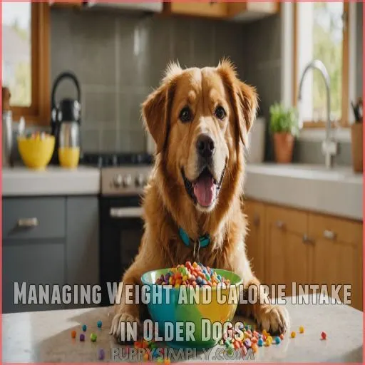 Managing Weight and Calorie Intake in Older Dogs