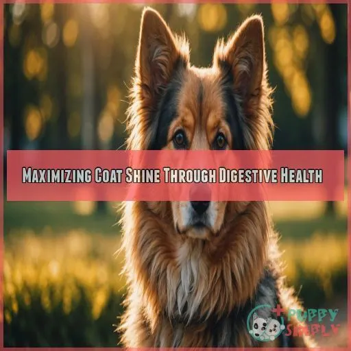 Maximizing Coat Shine Through Digestive Health