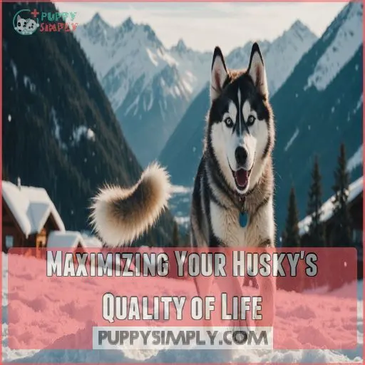 Maximizing Your Husky's Quality of Life