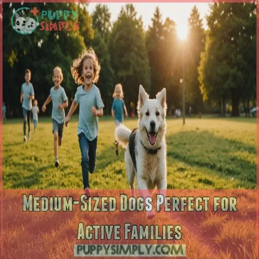 Medium-Sized Dogs Perfect for Active Families