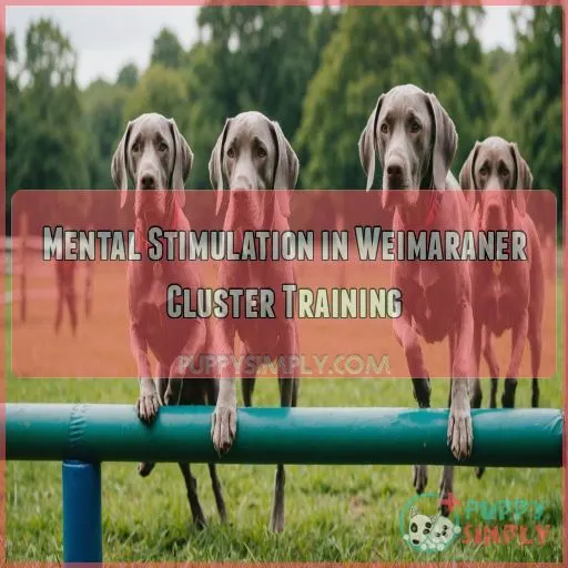 Mental Stimulation in Weimaraner Cluster Training