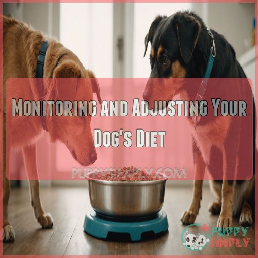 Monitoring and Adjusting Your Dog