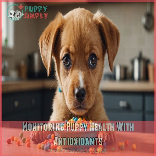 Monitoring Puppy Health With Antioxidants