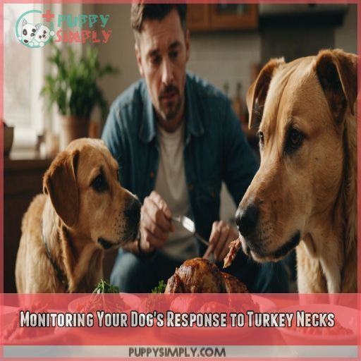 Monitoring Your Dog