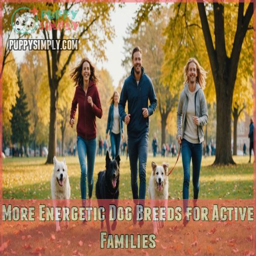 More Energetic Dog Breeds for Active Families