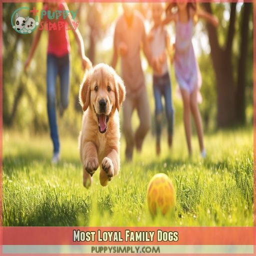 Most Loyal Family Dogs