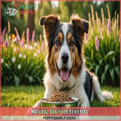 Natural Dog Food Benefits