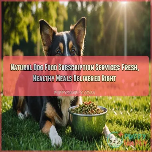 Natural dog food subscription services