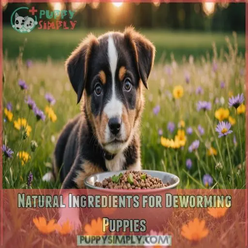 Natural Ingredients for Deworming Puppies