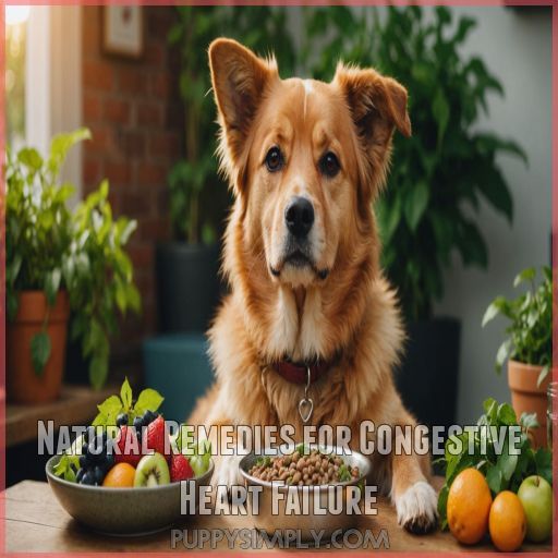 Natural Remedies for Congestive Heart Failure