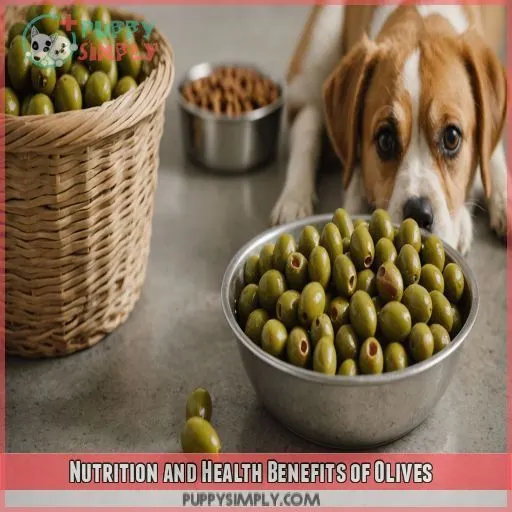 Nutrition and Health Benefits of Olives