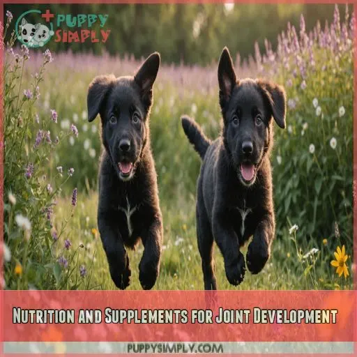 Nutrition and Supplements for Joint Development