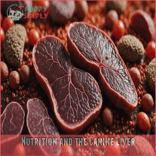 Nutrition and the Canine Liver