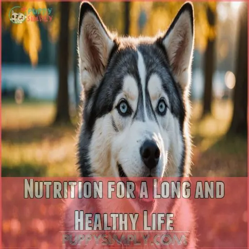 Nutrition for a Long and Healthy Life