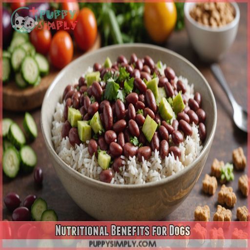 Nutritional Benefits for Dogs Nutritional Benefits for Dogs