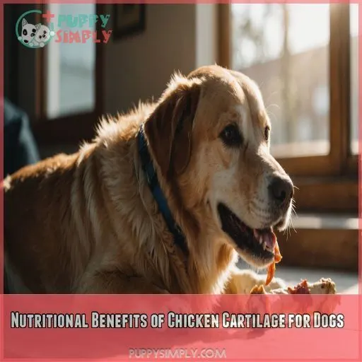 Nutritional Benefits of Chicken Cartilage for Dogs