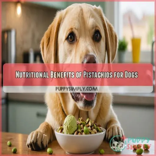 Nutritional Benefits of Pistachios for Dogs