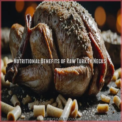 Nutritional Benefits of Raw Turkey Necks