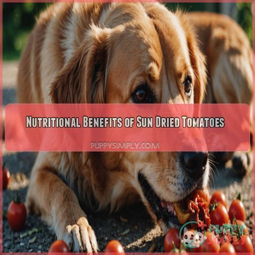 Nutritional Benefits of Sun Dried Tomatoes