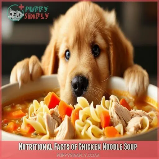 Nutritional Facts of Chicken Noodle Soup