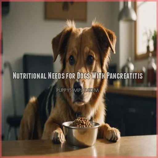 Nutritional Needs for Dogs With Pancreatitis