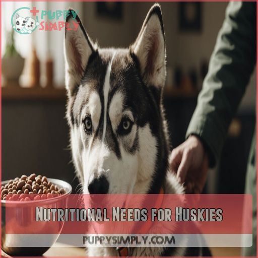 Nutritional Needs for Huskies