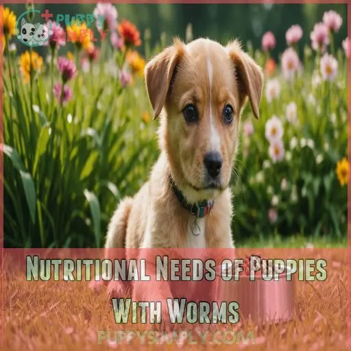 Nutritional Needs of Puppies With Worms