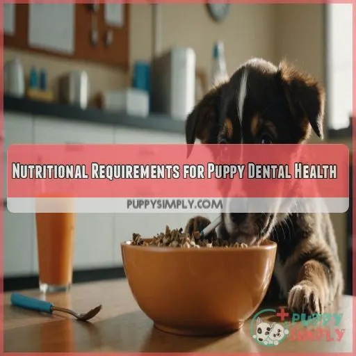 Nutritional Requirements for Puppy Dental Health