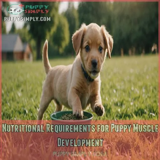 Nutritional Requirements for Puppy Muscle Development