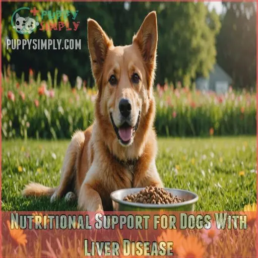 Nutritional Support for Dogs With Liver Disease