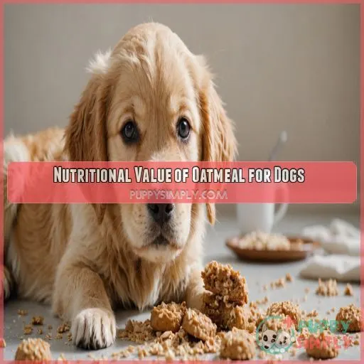 Nutritional Value of Oatmeal for Dogs