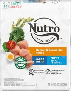 Nutro Core Dry Dog Natural