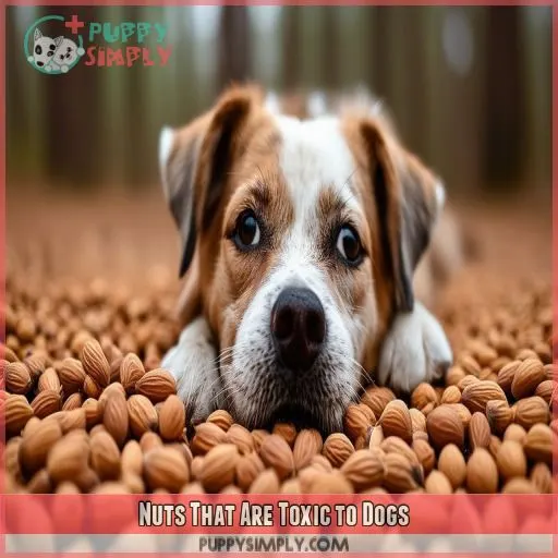 Nuts That Are Toxic to Dogs