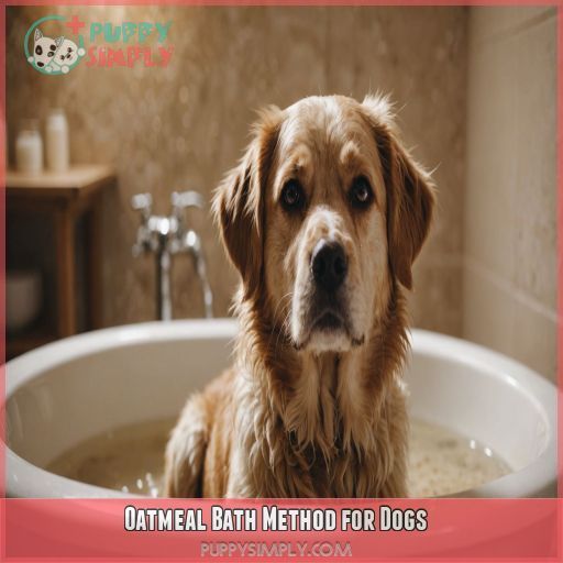 Oatmeal Bath Method for Dogs