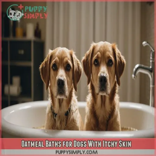 Oatmeal Baths for Dogs With Itchy Skin