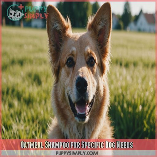 Oatmeal Shampoo for Specific Dog Needs