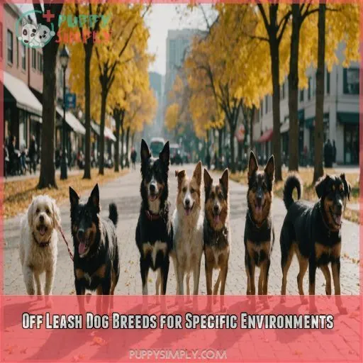 Off Leash Dog Breeds for Specific Environments