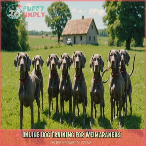 Online Dog Training for Weimaraners Online Dog Training for Weimaraners