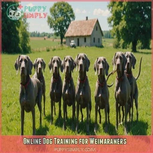 Online Dog Training for Weimaraners