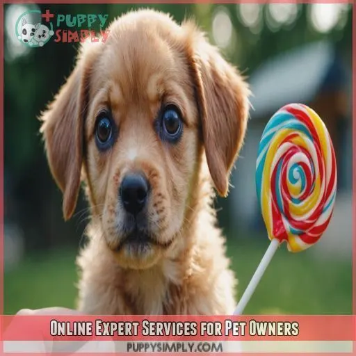 Online Expert Services for Pet Owners