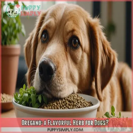 Oregano: a Flavorful Herb for Dogs