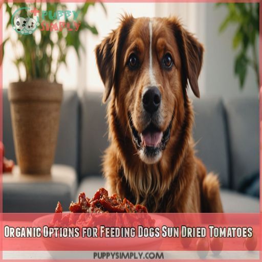 Organic Options for Feeding Dogs Sun Dried Tomatoes