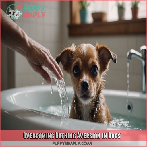 Overcoming Bathing Aversion in Dogs