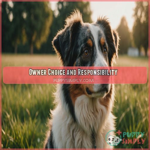 Owner Choice and Responsibility