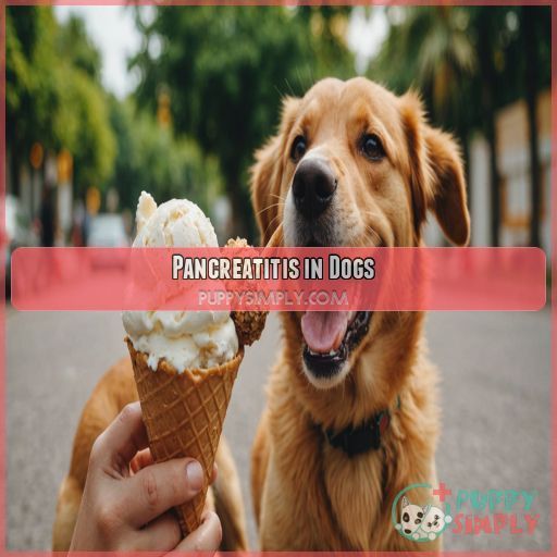 Pancreatitis in Dogs