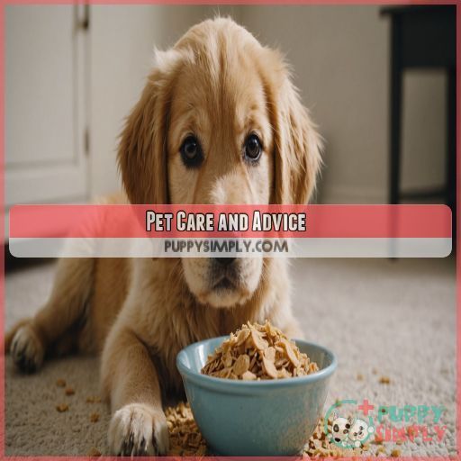 Pet Care and Advice