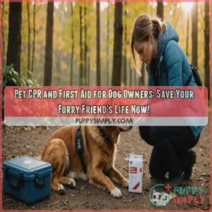 Pet CPR and first aid for dog owners