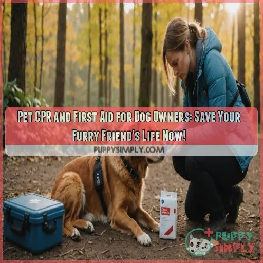 Pet CPR and first aid for dog owners