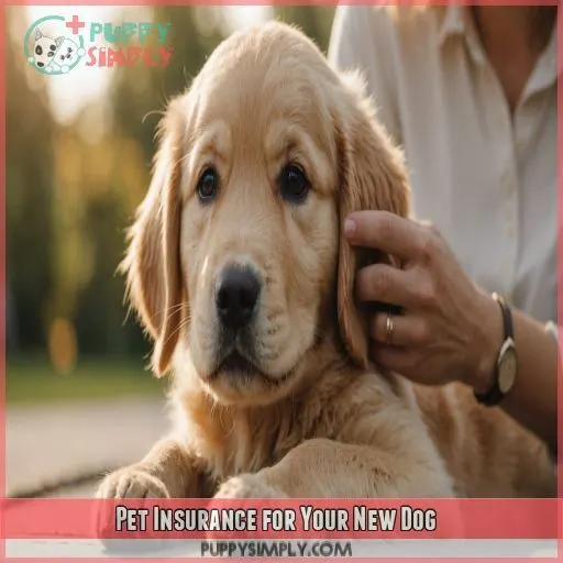 Pet Insurance for Your New Dog