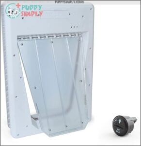 PetSafe Electronic Pet Door - B000WJ0IGA